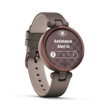 Foto Quadrante Orologio Garmin Lily Cocoa Paloma