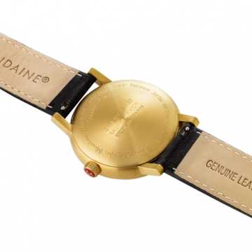 Foto Fondello Orologio Mondaine Evo2 Automatic FS214