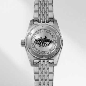 Foto Fondello Orologio Wolbrook Skindiver 38 mm 25-SA38-001-BOR-STL-LE1 