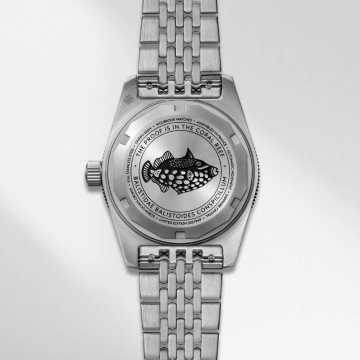 Foto Fondello Orologio Wolbrook Skindiver 38 mm 25-25-SA38-003-BOR-STL-LE1