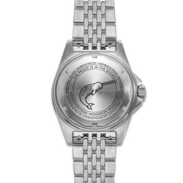 Foto Fondello Foto Cassa Orologio Skindiver II Professional Diving 