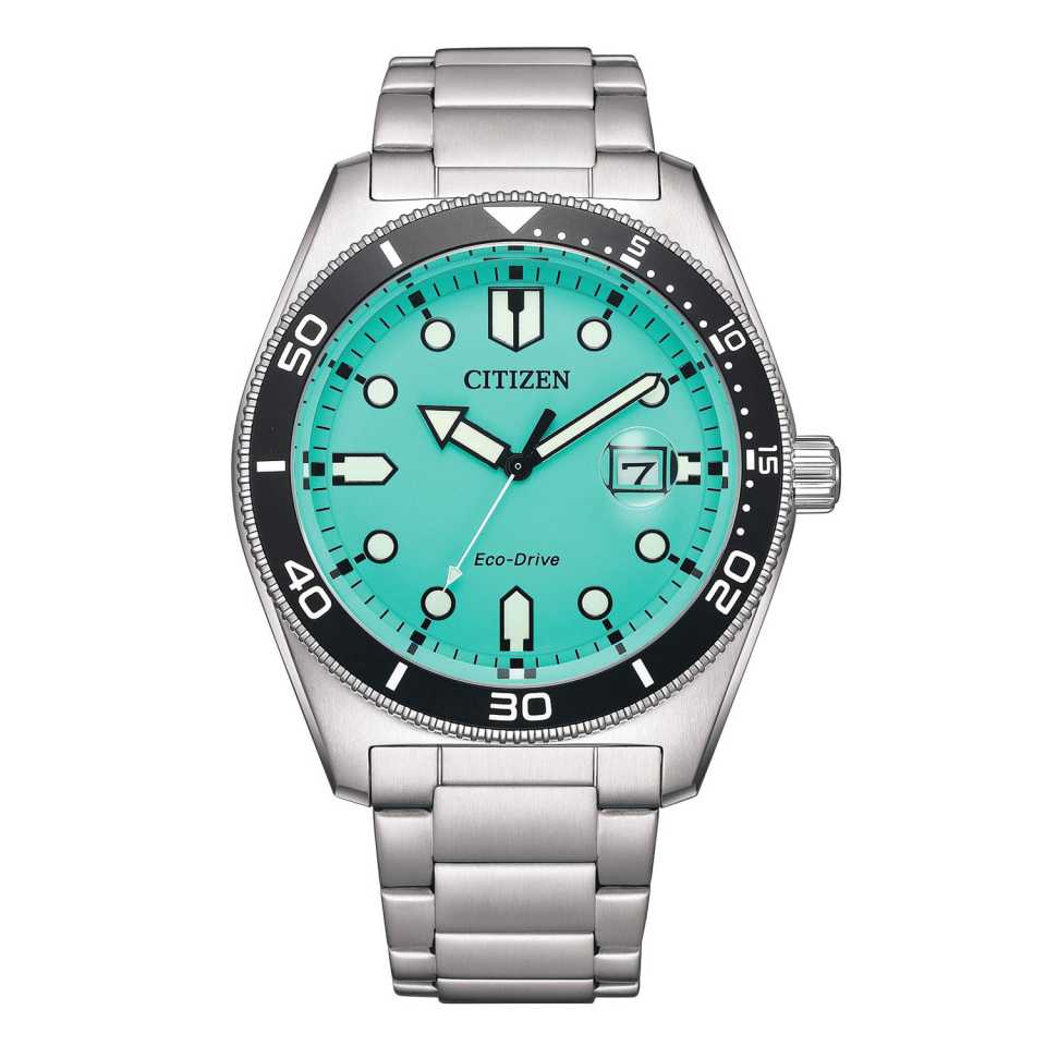 Citizen Marine EcoDrive Watch AW176081W
