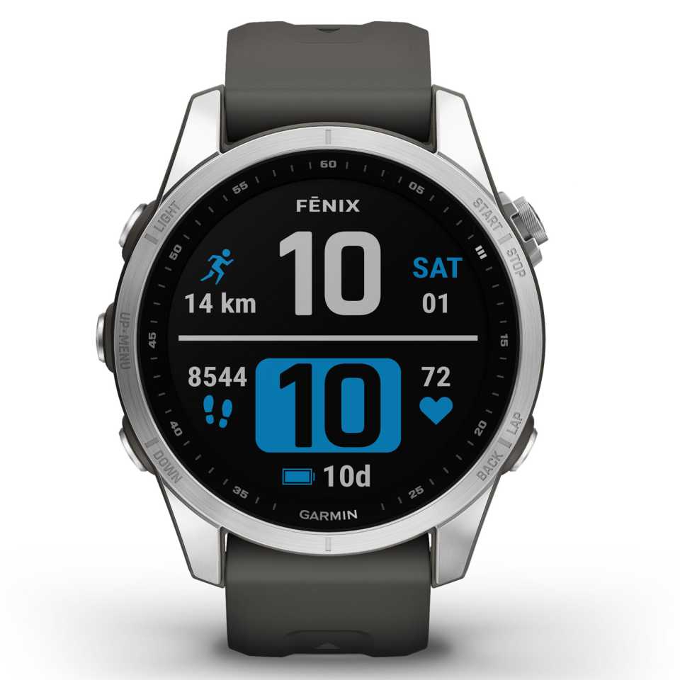 GARMIN - OROLOGIO FENIX 7S SILVER & GRAPHITE 010-02539-01