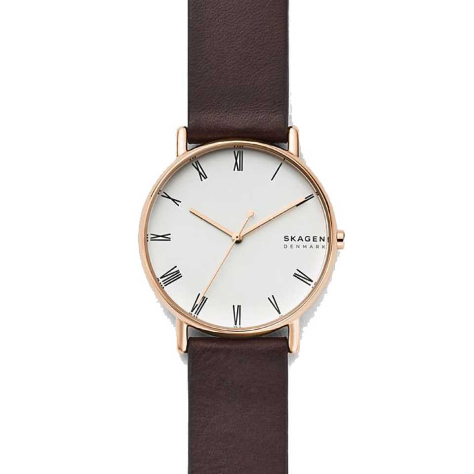 SKAGEN - SIGNATUR WATCH SKW6493