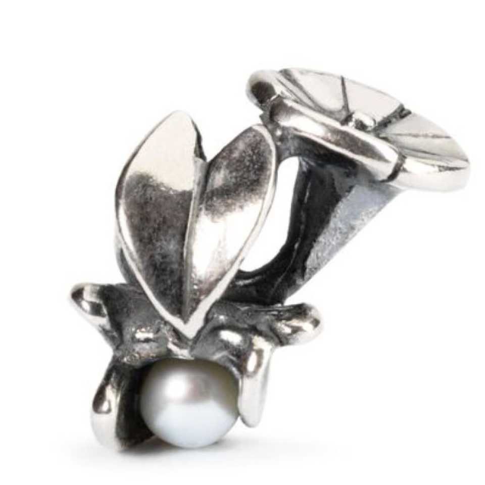 TROLLBEADS - CONVOLVOLO OF SEPTEMBER